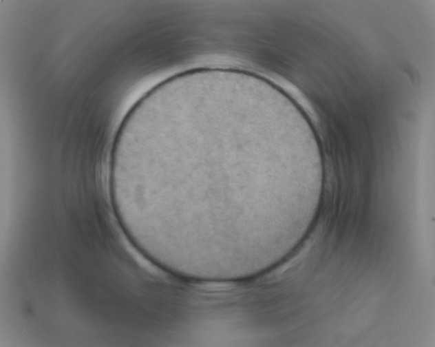 X0000113231343200910221031