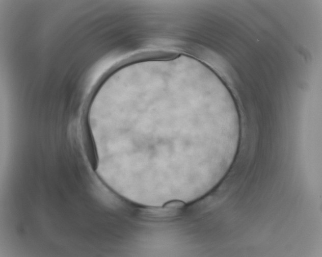 X0000113231344200910221031