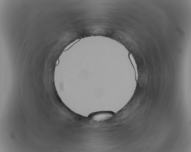 X0000113231345200910221031