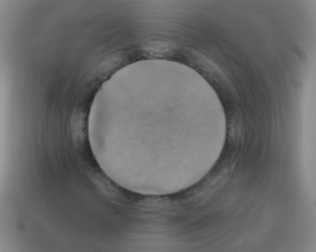 X0000113231346200910221031