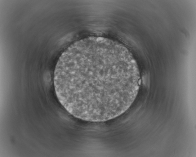 X0000113231347200910221031