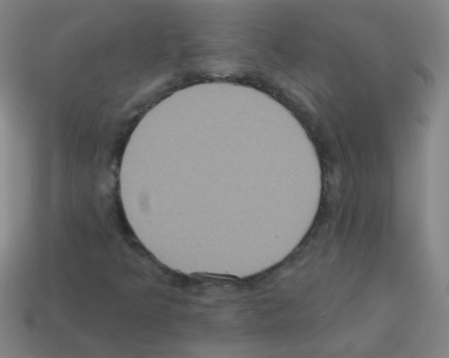 X0000113231349200910221031