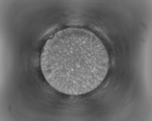 X0000113231350200910221031