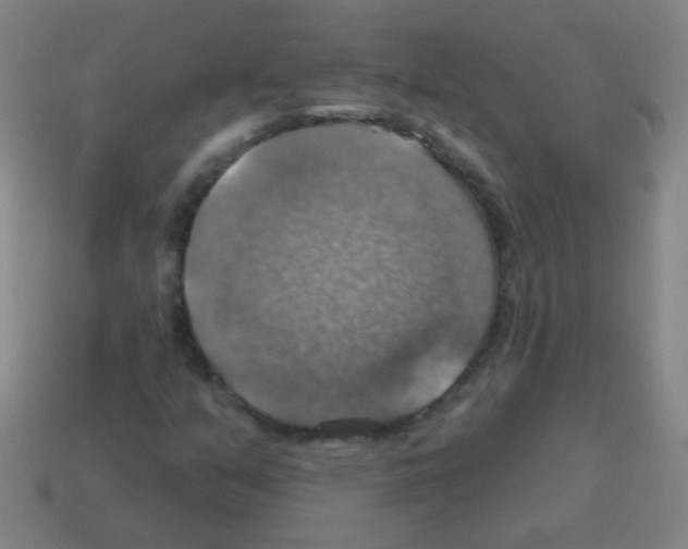 X0000113231351200910221031