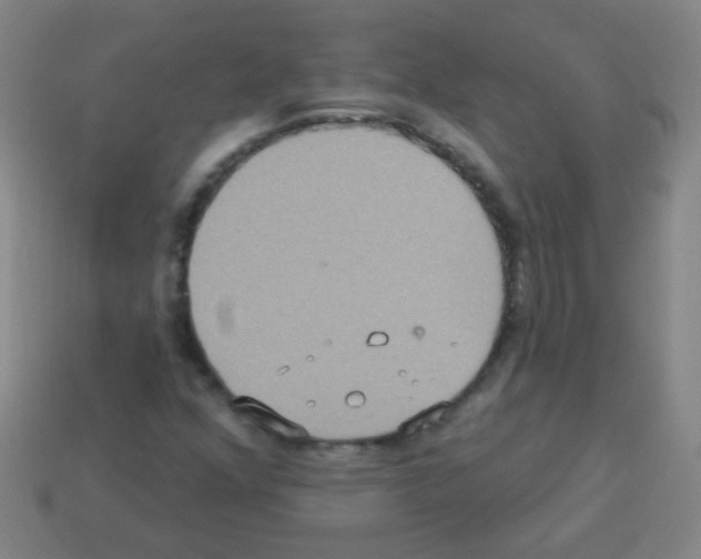 X0000113231352200910221031