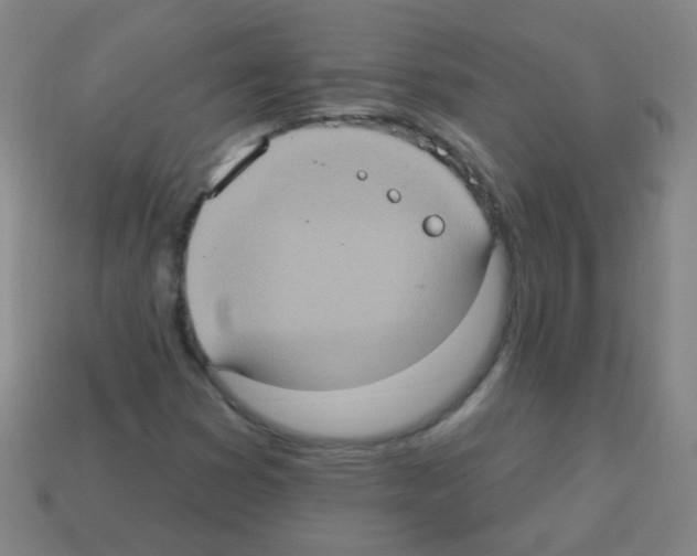 X0000113231353200910221031