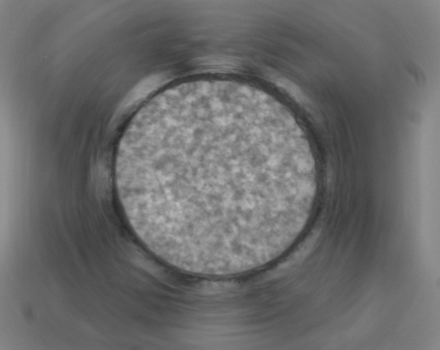 X0000113231354200910221031