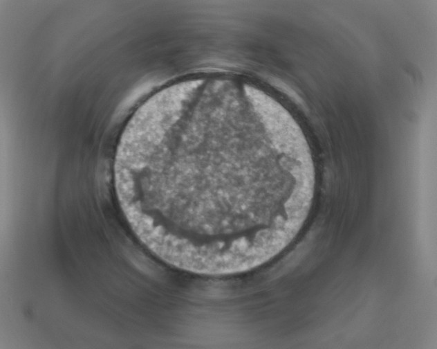 X0000113231355200910221031