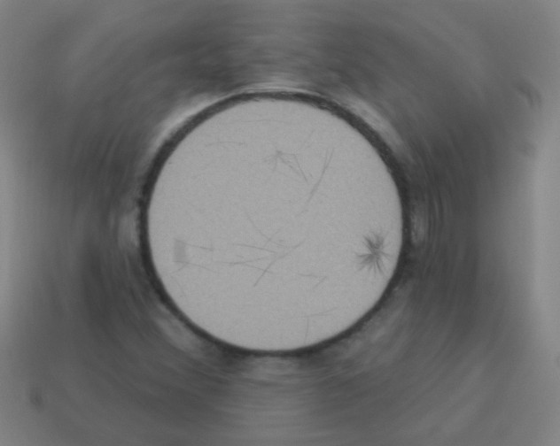 X0000113231356200910221031