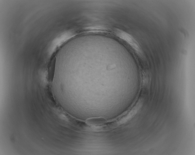 X0000113231357200910221031