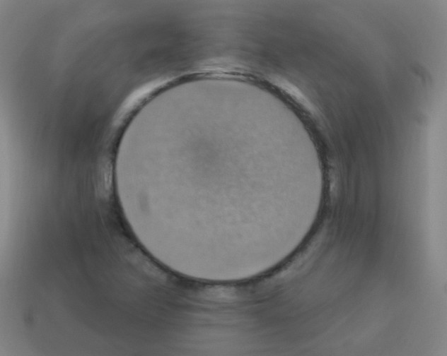 X0000113231358200910221031