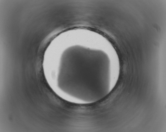 X0000113231359200910221031