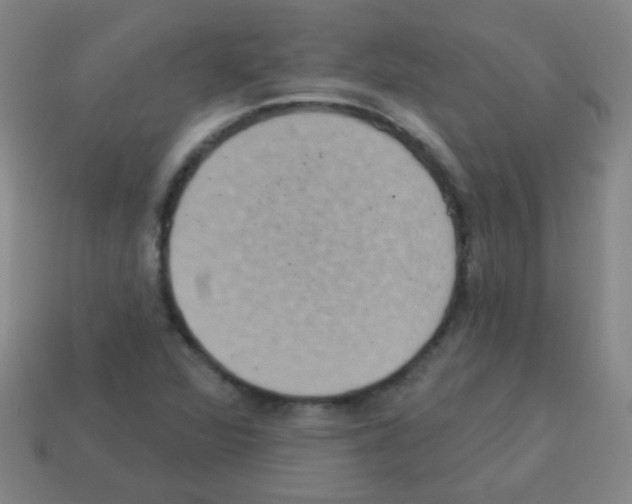 X0000113231360200910221031