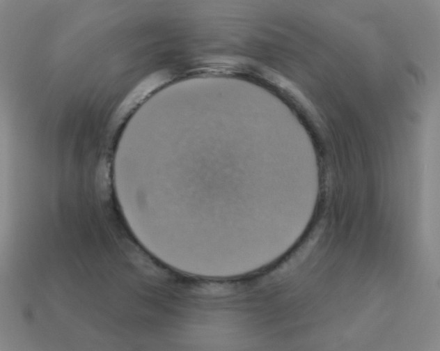 X0000113231362200910221031