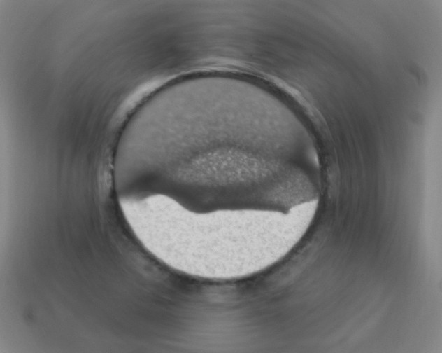 X0000113231363200910221031