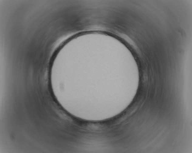 X0000113231364200910221031