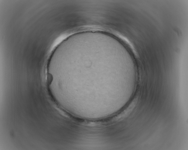 X0000113231365200910221030