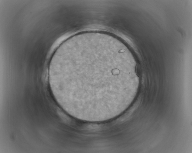 X0000113231366200910221030