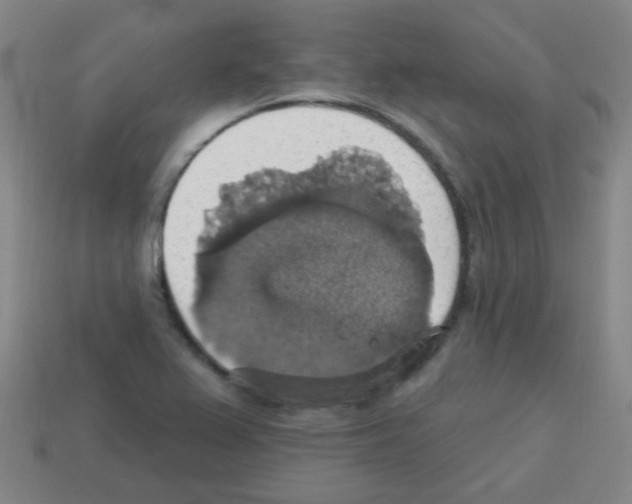 X0000113231367200910221030