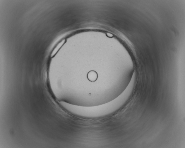 X0000113231368200910221030