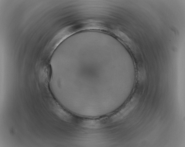 X0000113231369200910221030