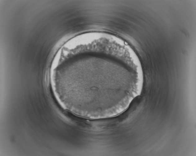 X0000113231371200910221030