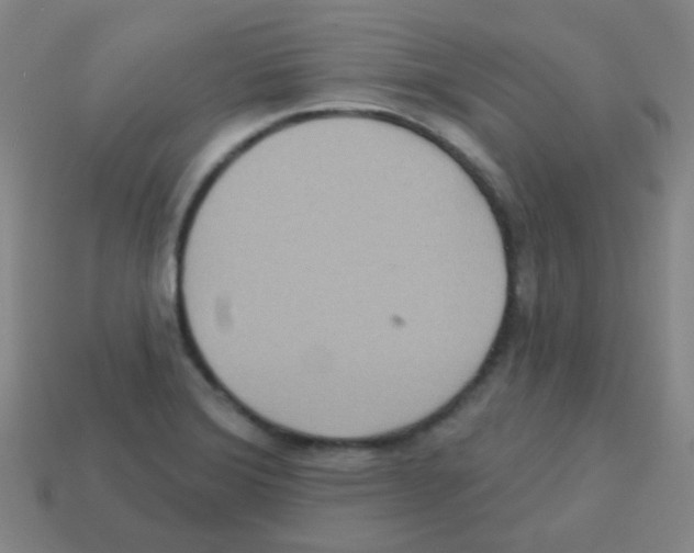 X0000113231372200910221030