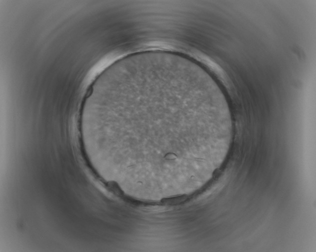 X0000113231373200910221030