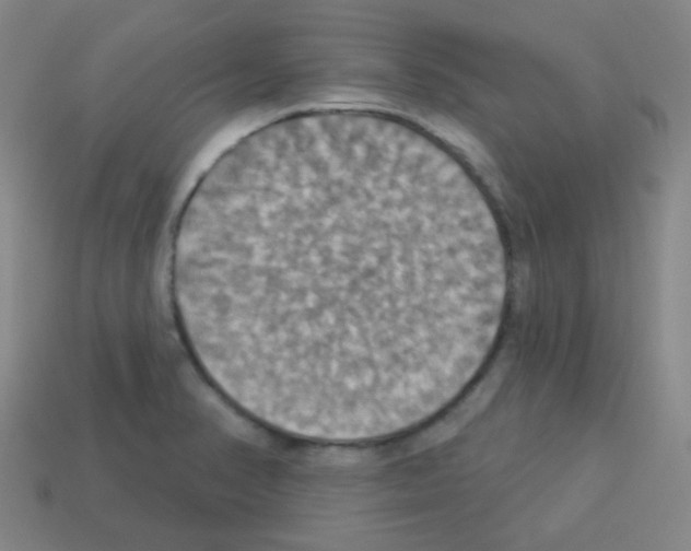 X0000113231374200910221030