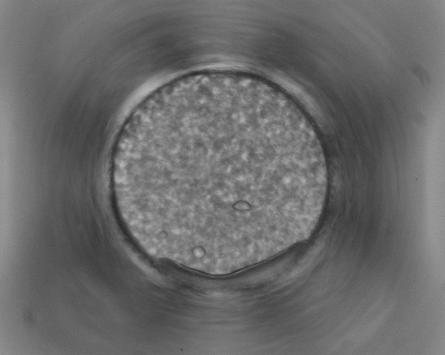 X0000113231375200910221030