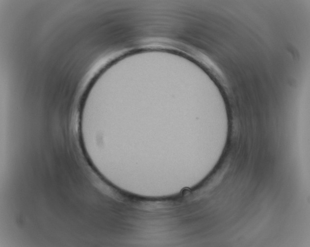 X0000113231376200910221030