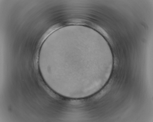 X0000113231378200910221030