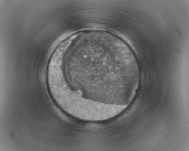 X0000113231379200910221030