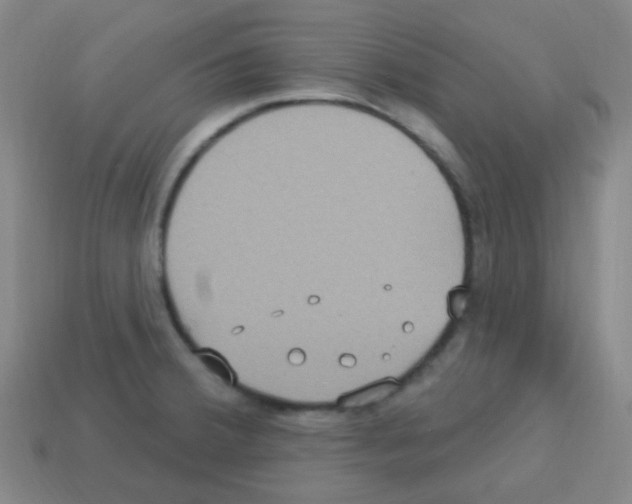 X0000113231380200910221030