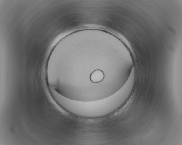 X0000113231381200910221030