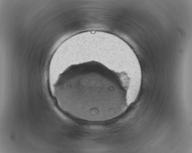 X0000113231383200910221030