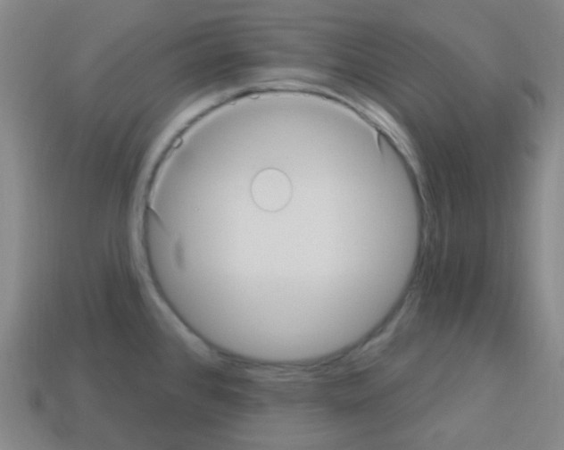 X0000113231384200910221030