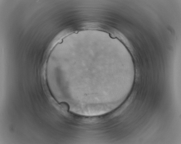 X0000113231386200910221030