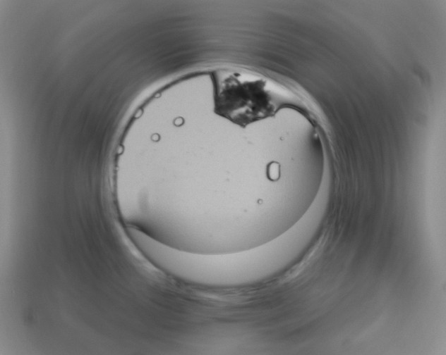 X0000113231388200910221030