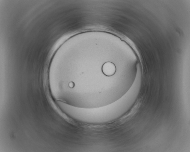 X0000113231389200910221030