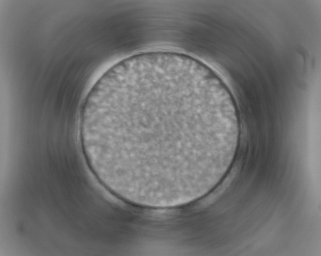 X0000113231390200910221030