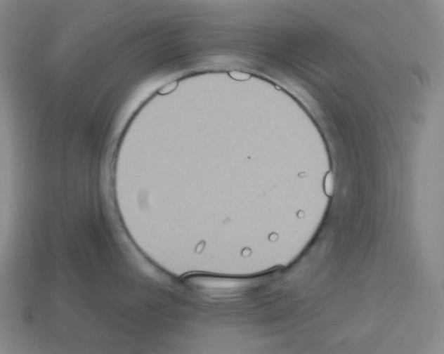 X0000113231392200910221030