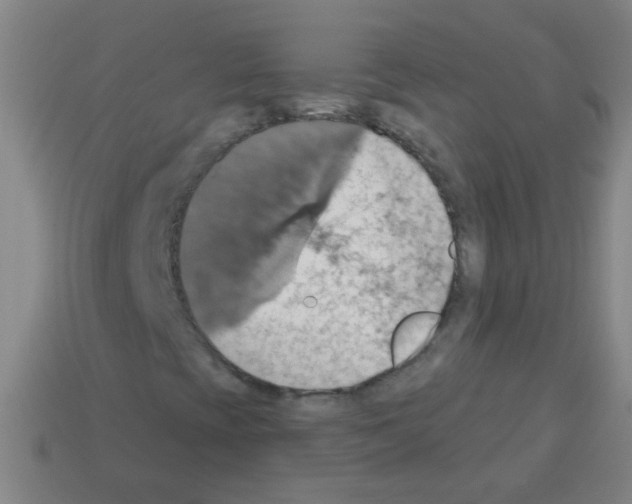 X0000113231393200910221029