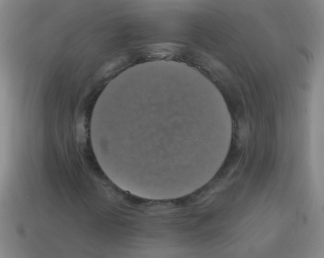 X0000113231394200910221029