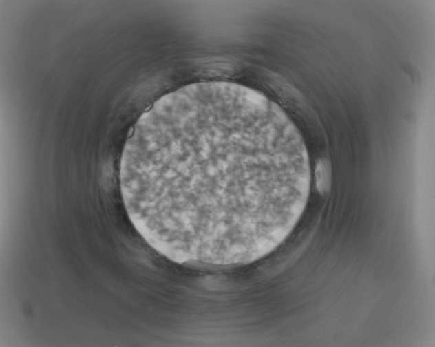 X0000113231395200910221029