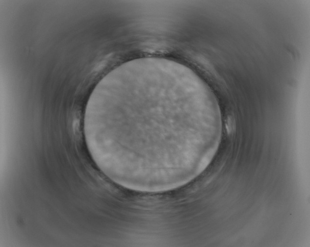 X0000113231396200910221030