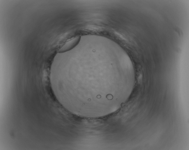 X0000113231397200910221030