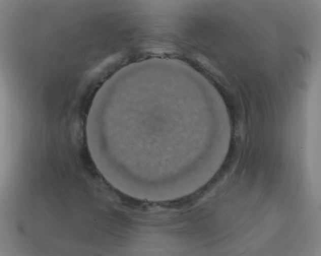 X0000113231398200910221030