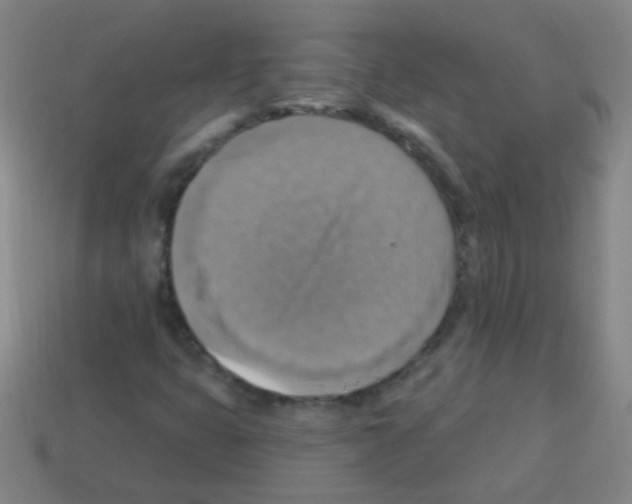 X0000113231399200910221030