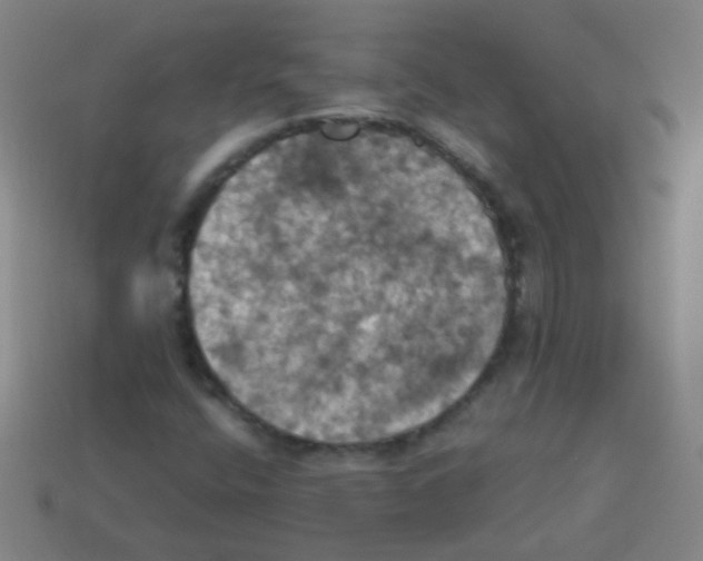 X0000113231400200910221030